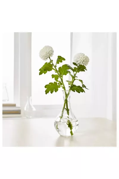 Стеклянная ваза маленькая  см для цветов, качество А