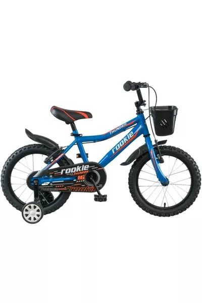 عجلة الدراجة