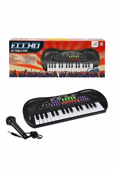 أورغ مع ميكروفون وزرار / 3 سنوات فابابتويز