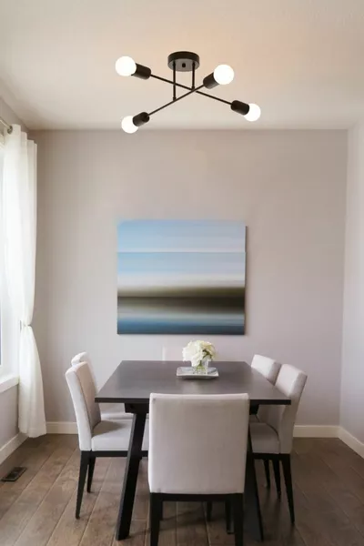 Spider Cross Modern Sports Ceiling Chandelier Black Living Room - Kitchen - Bedroom 4-Light Chandelier (WITHOUT BULBS)