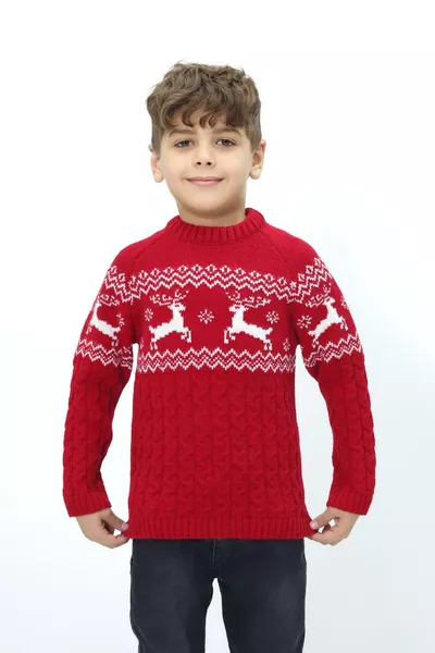 Boys' Christmas-Themed Bicycle Collar Knit Sweater