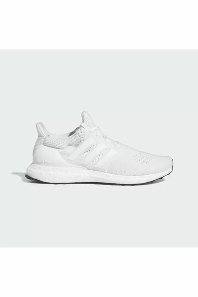 Ultraboost Shoes 1.0