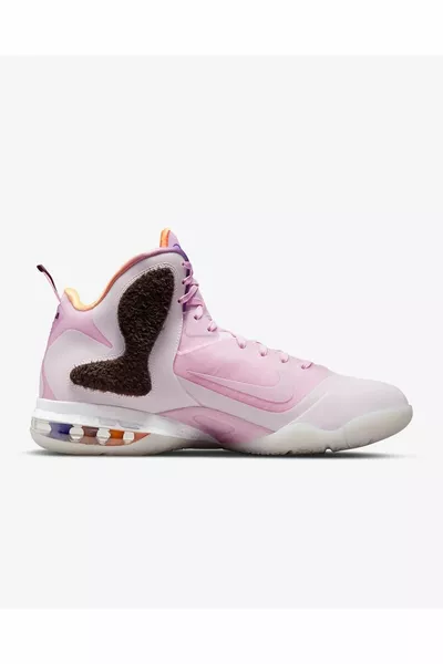 Lebron Retro Ix Regal Pink And Velvet Brown 