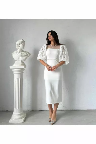 White Balloon Sleeve Transparent Collar Guipure Pearl Detailed Lined Stylish Dress