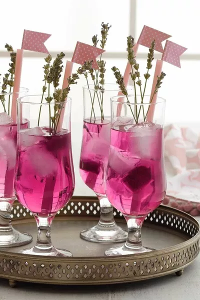 Nevakar 6 Piece Cocktail Glass