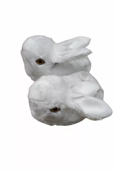 للجنسين الأرنب الأبيض باندوف