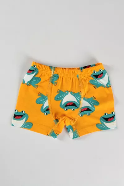 5-pack boxer met dinosauruspatroon van % katoen voor jongens