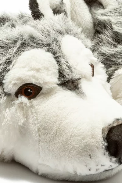 TW HUSKY GREY WINTER WOLF PANDUF 