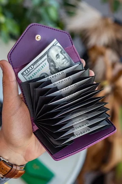 Лвов Веган кожен акордеон сливов дамски портфейл Държач за карта