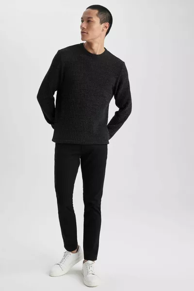 Standaard Fit Normale pasvorm Ronde hals Getextureerde Basic Rechte Gebreide Trui au