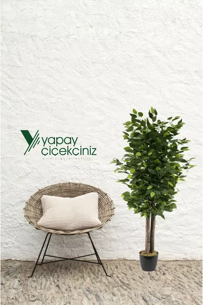 شجرة بنجامين صناعية بأوراق كثيفة في أصيص أسود