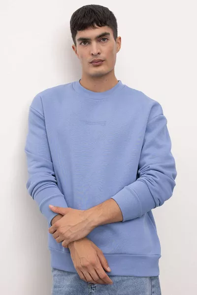 Толстовка с круглым вырезом и принтом Boxy Fit AU