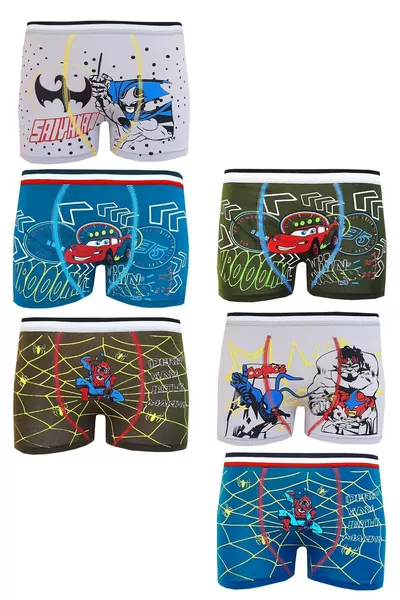 6-Pack Boys' Character Cotton Colorful Boxers