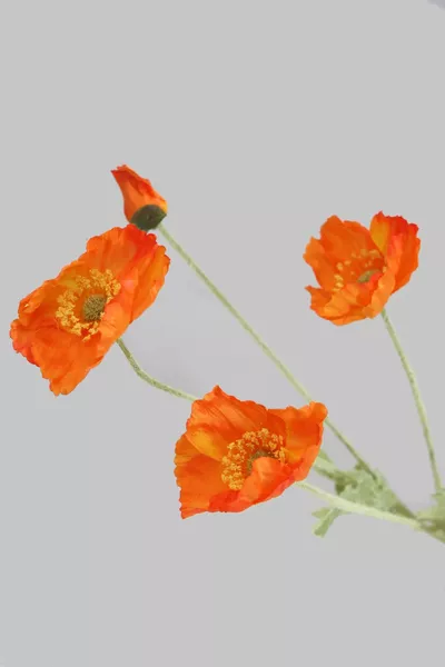 زهور اصطناعية مجموعة من 4 أغصان خشخاش برتقالي