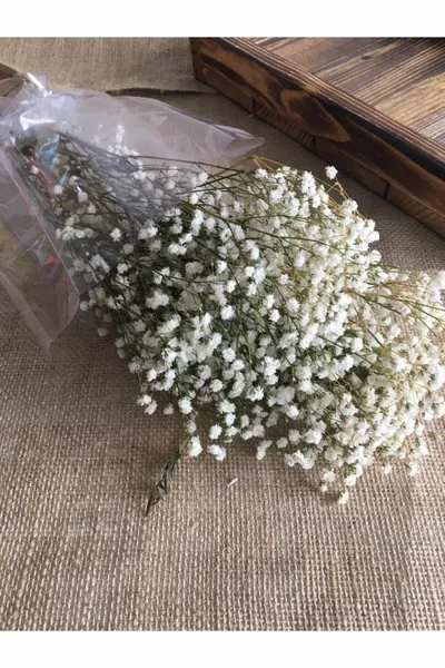 Fleur séchée naturelle Herbe de Gypsophile séchée