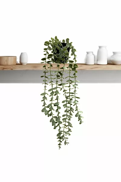 Fejka Black Diamond Pot with Hanging Pastel Eucalyptus