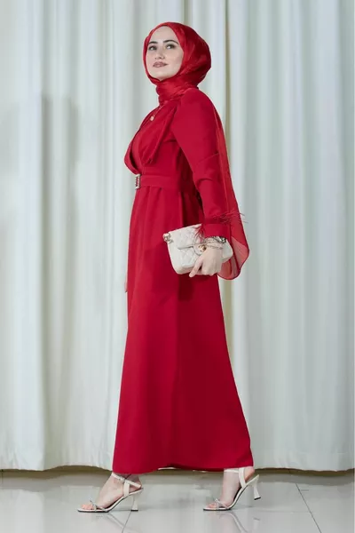 Venus Arm Feather Detailed Evening Dress-red