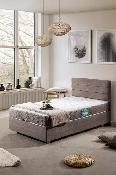 سوفيا سرير فردي مع قاعدة ورأس سرير، طقم مزدوج، بني