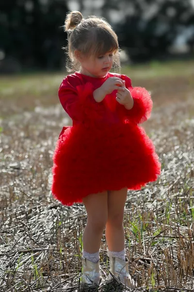 فستان حفلة عيد ميلاد لفتيات صغيرات، فستان حفل زفاف مزين بالتول، مزود بطبقة داخلية للأطفال، ملابس أطفال، ملابس أطفال حديثي الولادة