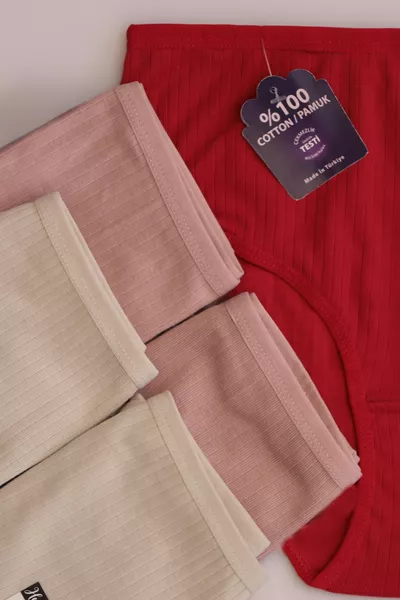 Women's % Cotton 5-Pack High-Waist Ribbed Panties Stone, Taupe, Burgundy 