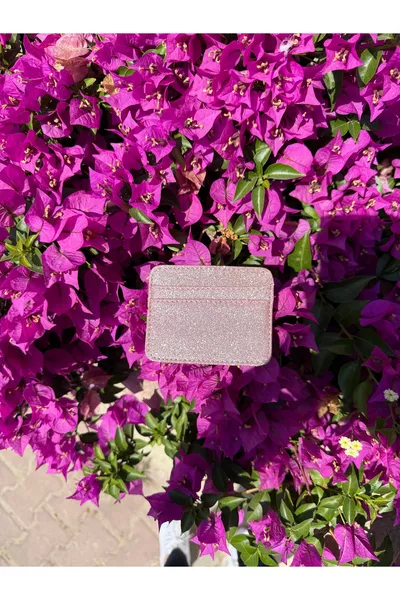 Women's Pink Glitter Stylish Card Holder - 5 Compartment Minimal Design