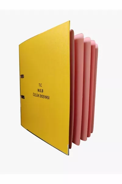 MEB Teacher Personnel File