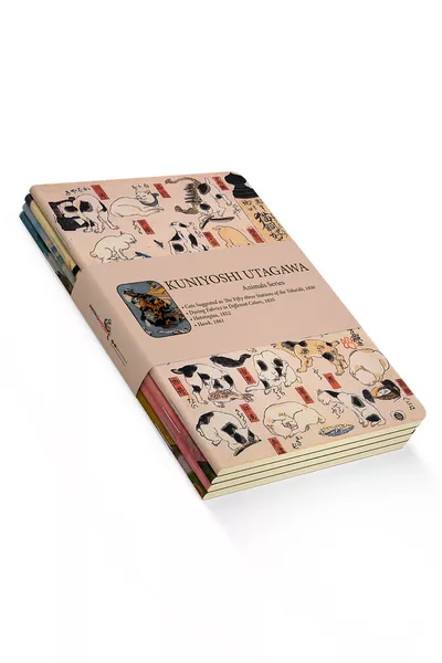 مجموعة دفاتر كونيوشي أوتاغاوا المكونة من 4 قطع II - سلسلة الحيوانات - بلا خطوط -  صفحة -  سم