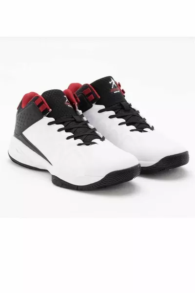 Chaussures de basket-ball Blanc/Noir 