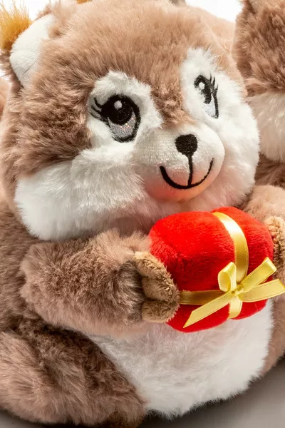 Coffee Squirrel Cute Plush Panduf House Slippers