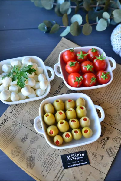 Set of 3 Porcelain Square Appetizer Plates / Small Size