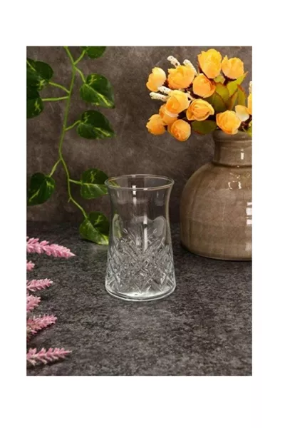  كوب شاي تيملس  سم³، مجموعة من 6