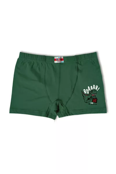 6-Pack Cotton Printed Boys' Boxer Briefs