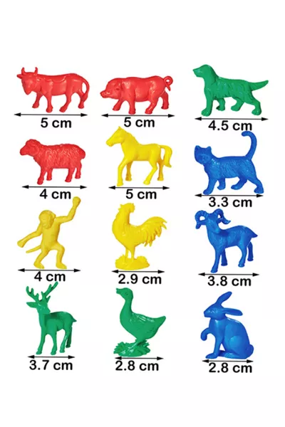 Education Zoo Counters