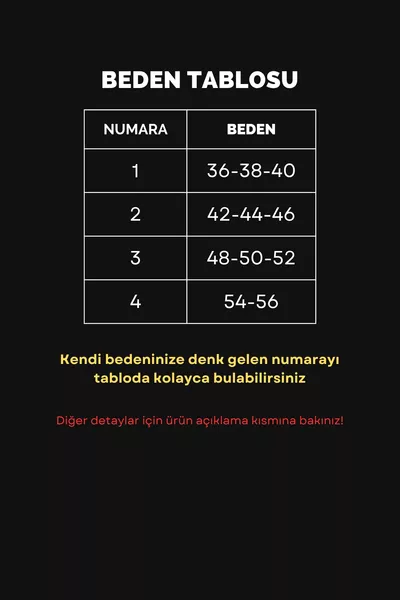 Asel Mevlana Flared Abaya Black