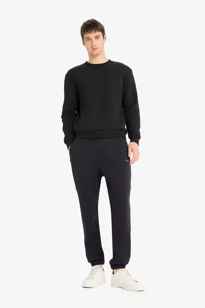 Regular Fit Crew Neck Thick Basic Plain Sweatshirt AU