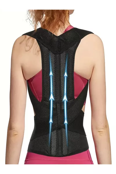 مشد ظهري جديد بمحاذاة عمودية مع دعامات لمنع تقوس الظهر