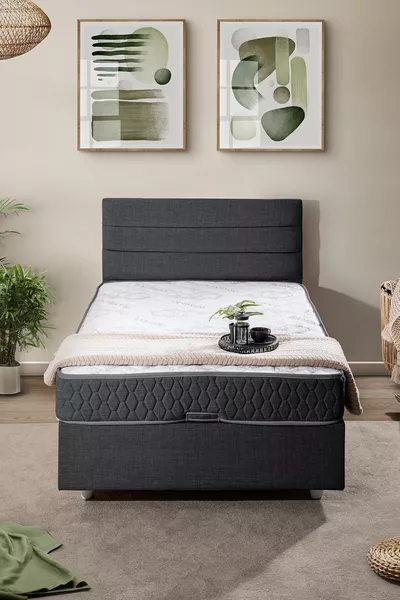 Sofia Tek Kişilik Baza Başlık Ikili Set Antrasit