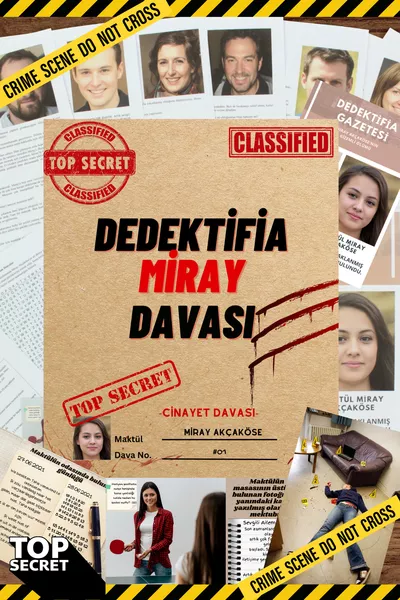 التحقيق في العثور على المجرم لعبة المحقق القضايا الغامضة قضية ميراي