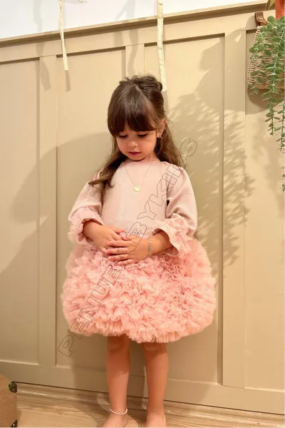 فستان طفلة بأكمام طويلة وتول أسفل باللون البودرة