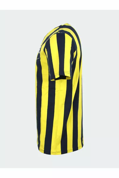 Men's Striped Fan T-Shirt