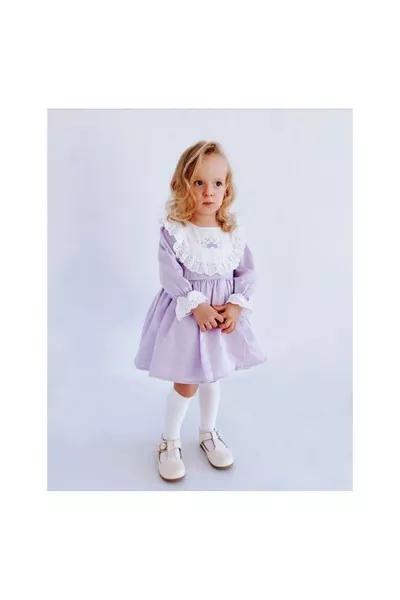 فستان إيزابيلا للفتيات بأكمام طويلة، مزخرف بتطريز زهور وشبك، مبطن، على طراز الأميرة الكلاسيكي، أنيق، باللونين البنفسجي والليلكي