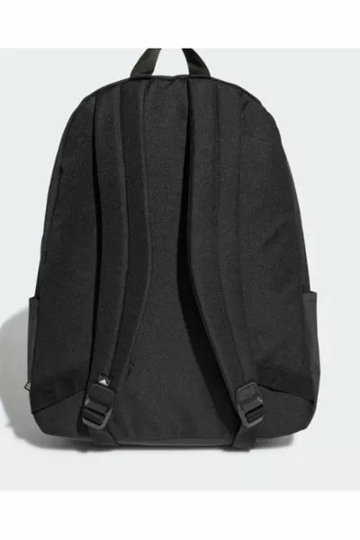 Рюкзак унисекс Clsc Leisure bp 