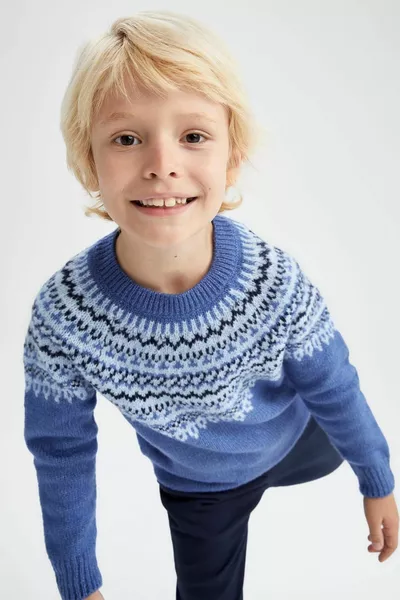 Boys' Regular Fit Crew Neck Sweater
