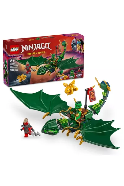 ® NINJAGO® Lloyd's Green Forest Dragon + Creative Toy Building Set for Kids (P)