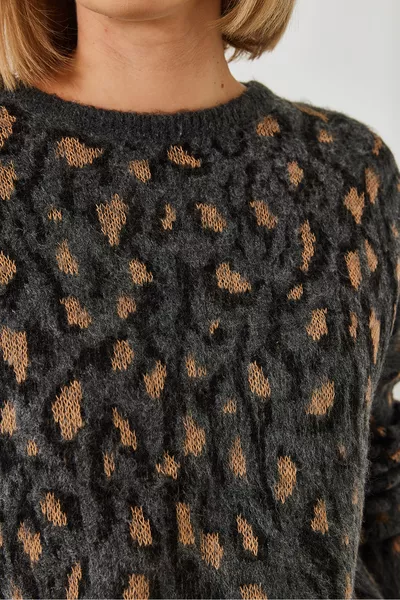 Women's Crew Neck Patterned Knit Sweater  