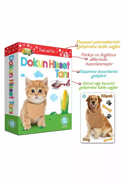 Touch Feel Recognize