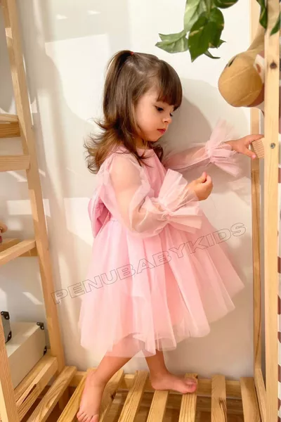 Roze Lange Tule Mouw Details Tutu Meisjes Babyjurk