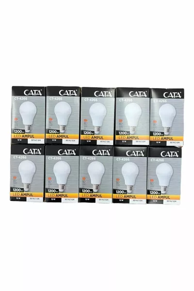 W LED Bulb White Light  Pieces