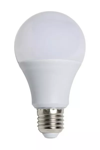  W  Socket White Light LED Bulb -B