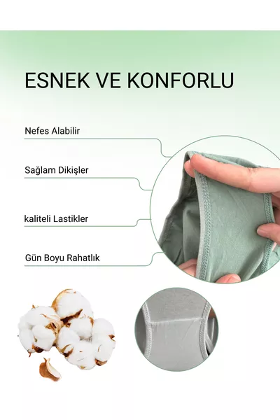 Women's Cotton Colored Bikini / Hipster Briefs - Green, Charcoal, Stone, Light Brown, Ecru 5-Pack